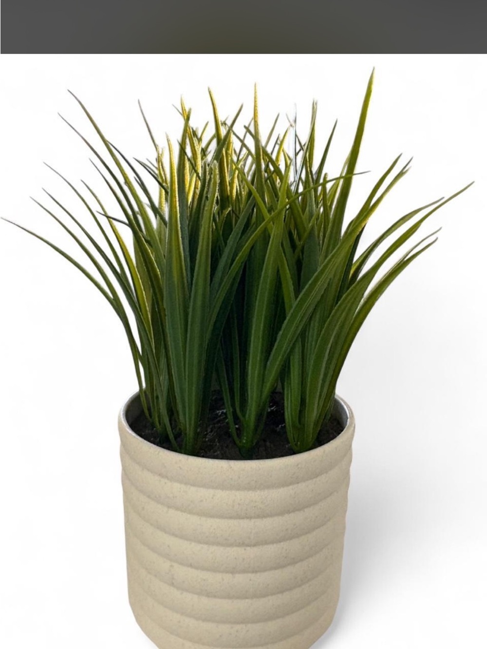 Lifelines Artificial Grass Planter diffuser in Cream Pot - Home Accents